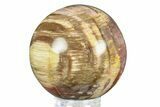 Colorful Petrified Wood (Araucaria) Sphere - Madagascar #286143-1